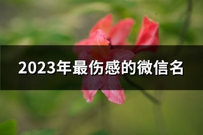 ​2023年最伤感的微信名(优选2803个)