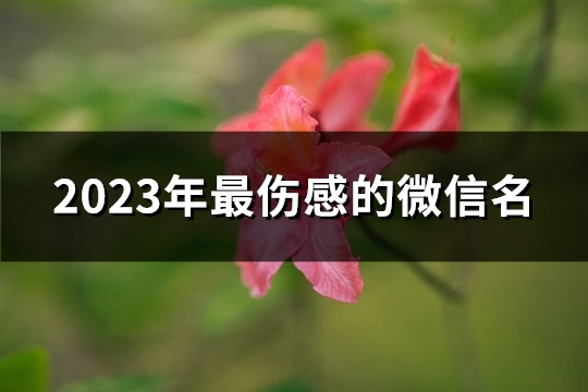 2023年最伤感的微信名(优选2803个)