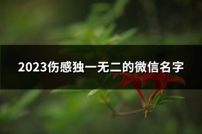 ​2023伤感独一无二的微信名字(优选4066个)