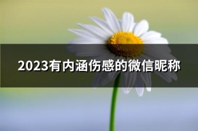 ​2023有内涵伤感的微信昵称(3324个)