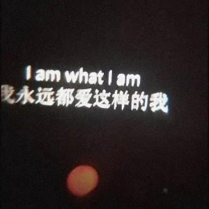 ​情感文案个人介绍（适合做为个人简介的文案）