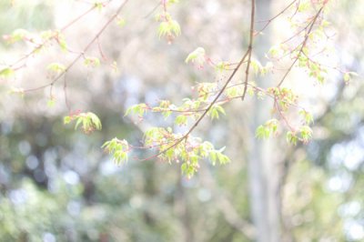 ​非主流唯美伤感心碎的句子非主流唯美伤感句子(70句)