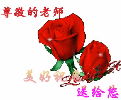 我在伊朗长大经典语录