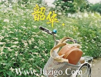 ​教师节的走心文案教师节走心文案简短(精选89句)