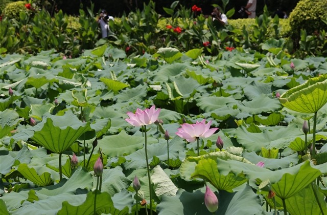 古风简洁4个字的情侣游戏名(共204个)