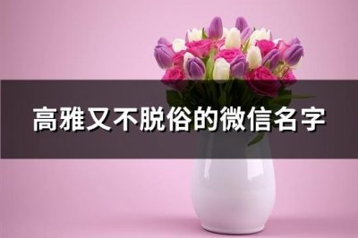 ​高雅又不脱俗的微信名字(优选468个)