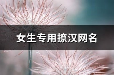 ​女生专用撩汉网名(精选379个)