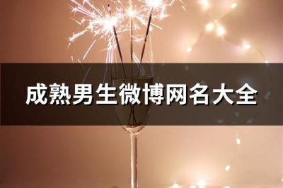 ​成熟男生微博网名大全(共130个)