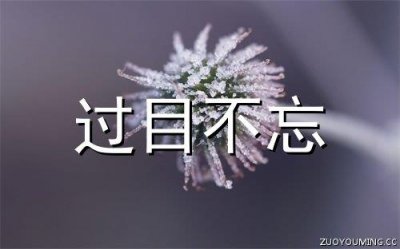 ​元宵节说给女朋友的话 对女朋友说的甜甜的元宵节祝福语